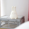 Your little one can take their nightlight anywhere, even camping