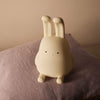Safe for children to turn on and off and carry about, just recharge when it goes flat 