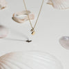 Gold necklace with a shell charm and pearl pendant, styled among natural seashells on a light background for a summery, coastal-inspired aesthetic.